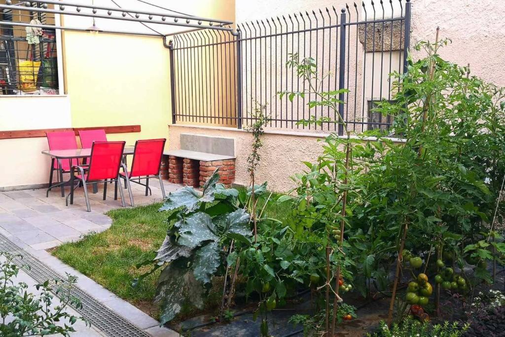 Cozy House With Garden In The Old Town Lägenhet Thessaloníki Exteriör bild